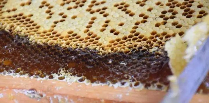 来大姨妈可以补硒吗吗(大姨妈可以吃硒吗)-硒宝网