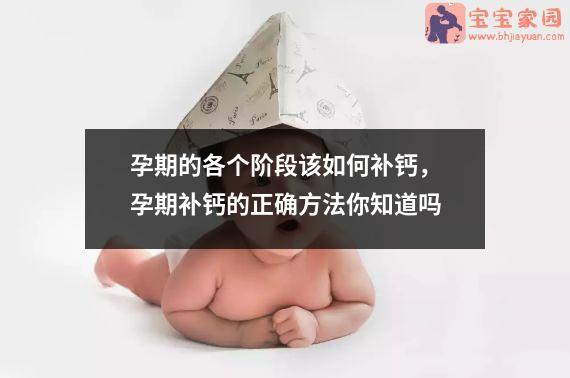 孕期如何补钙(孕期补钙什么时候吃效果最好)-硒宝网
