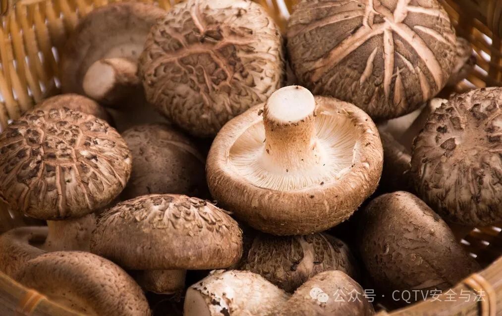 补硒保健品什么时间吃(吃补硒的保健品有用吗)-硒宝网