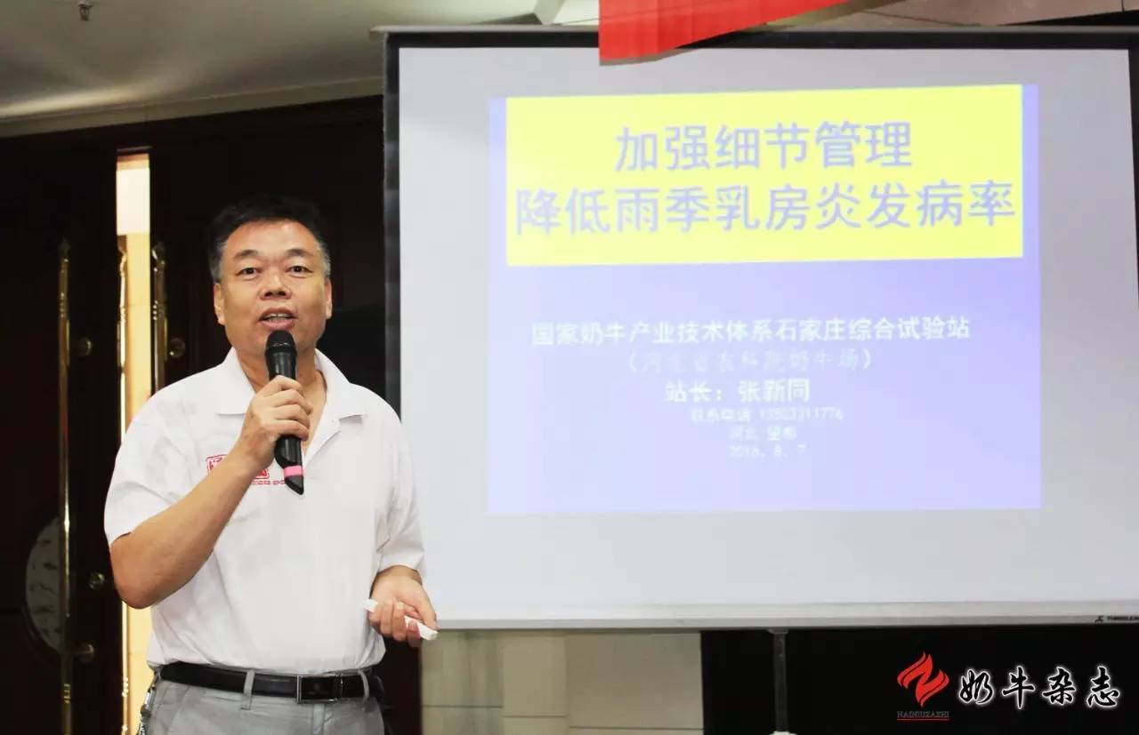 一头牛补多少亚硒酸钠(一头牛补多少亚硒酸钠)-硒宝网