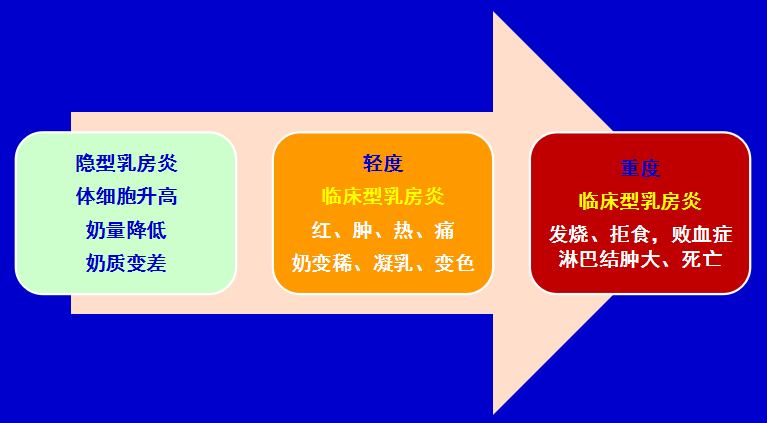一头牛补多少亚硒酸钠(一头牛补多少亚硒酸钠)-硒宝网