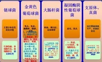 一头牛补多少亚硒酸钠(一头牛补多少亚硒酸钠)-硒宝网