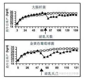 一头牛补多少亚硒酸钠(一头牛补多少亚硒酸钠)-硒宝网