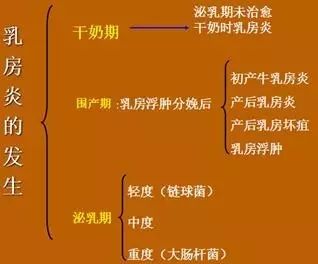 一头牛补多少亚硒酸钠(一头牛补多少亚硒酸钠)-硒宝网