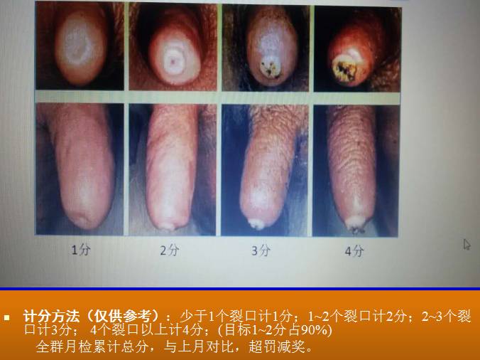 一头牛补多少亚硒酸钠(一头牛补多少亚硒酸钠)-硒宝网