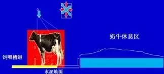 一头牛补多少亚硒酸钠(一头牛补多少亚硒酸钠)-硒宝网