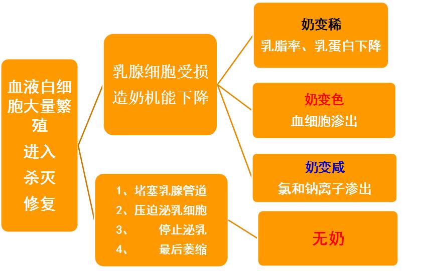 一头牛补多少亚硒酸钠(一头牛补多少亚硒酸钠)-硒宝网