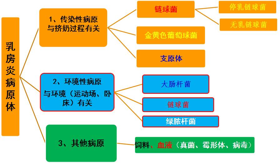 一头牛补多少亚硒酸钠(一头牛补多少亚硒酸钠)-硒宝网