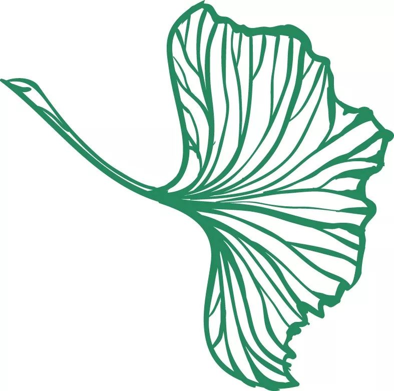 补铁和补钙的能一起吃吗(补钙可以补铁一起吃吗)-硒宝网