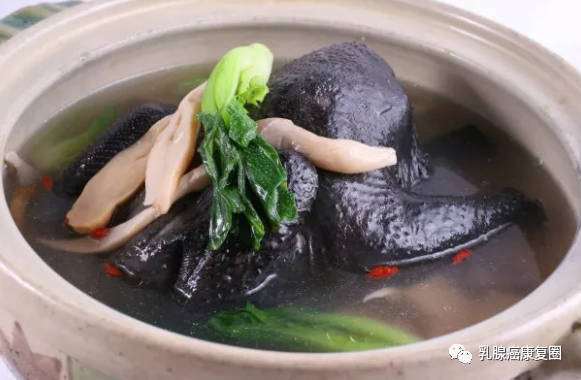 锌镁补剂和锌硒的区别(锌镁补剂有用吗)-硒宝网