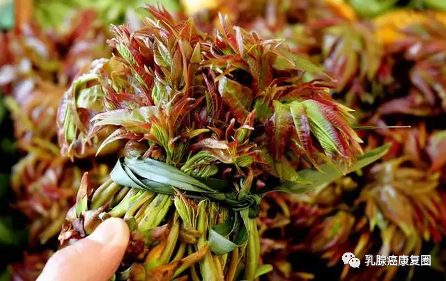 锌镁补剂和锌硒的区别(锌镁补剂有用吗)-硒宝网