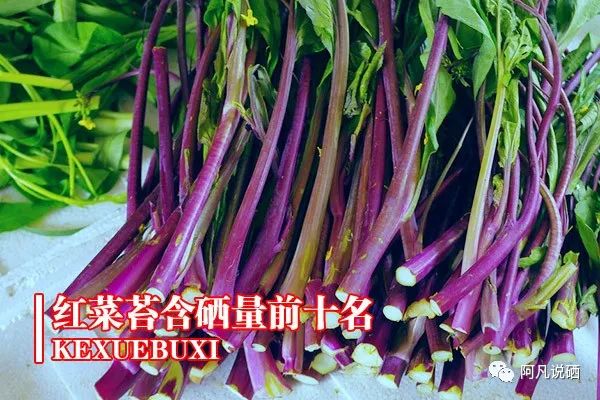 补硒食物前十名有哪些（补补硒的食物）-硒宝网