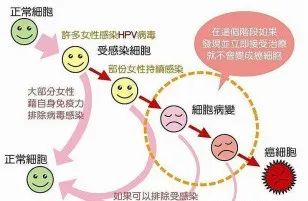 晚期宫颈癌能补硒吗吗（宫颈癌补硒有用吗）-硒宝网
