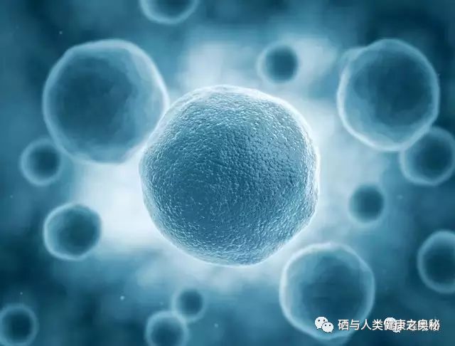 糖尿病人可长期补硒吗（补硒对糖尿病人有什么好处）-硒宝网