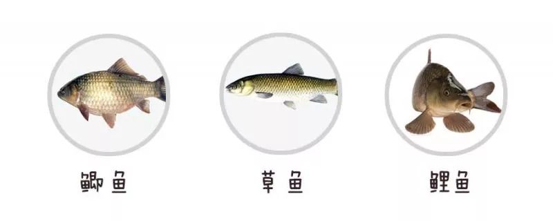 一岁宝宝吃什么补钙(补钙宝宝吃什么)-硒宝网