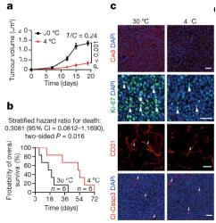 给癌症病人补硒可以吗（癌症能补硒）-硒宝网