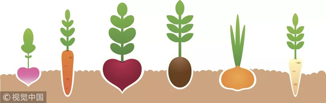 人一天要补多少硒适合（硒需要每天补充吗）-硒宝网