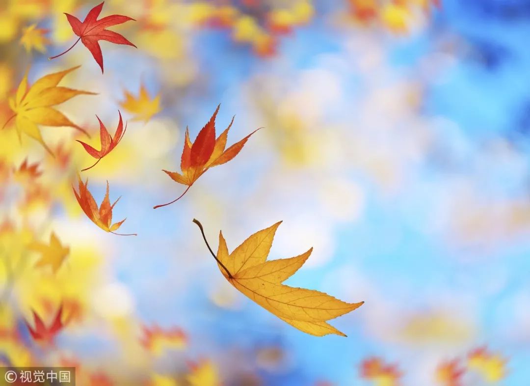 人一天要补多少硒适合（硒需要每天补充吗）-硒宝网