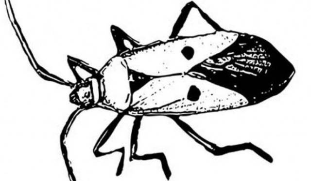 补铁口服液什么时候喝最好（补铁口服液难喝）-硒宝网