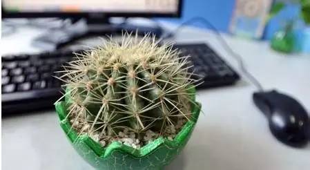 补铁口服液什么时候喝最好（补铁口服液难喝）-硒宝网