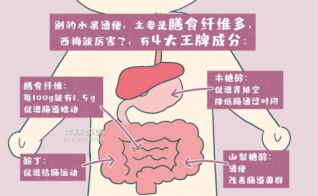 一岁宝宝吃什么补钙(补钙宝宝吃什么水果蔬菜)-硒宝网