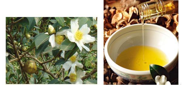 查微量元素需要空腹吗（空腹查微量元素需要空腹多久）-硒宝网