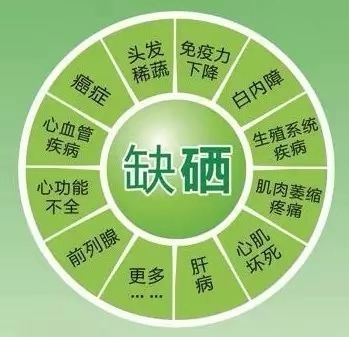 桥本甲减一天补硒多少（桥本氏甲减补硒）-硒宝网