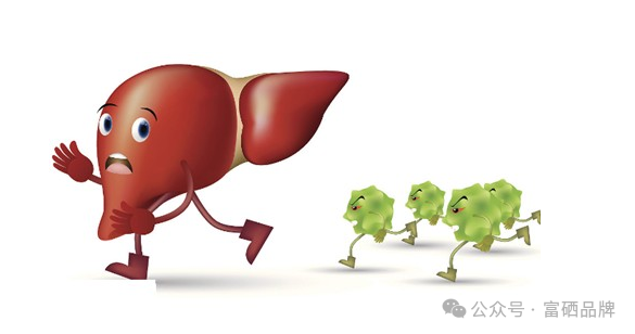 肝纤维化能补硒元素吗（肝纤维化补硒有用么）-硒宝网