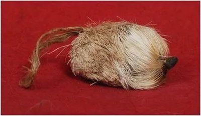 补硒分为哪三代药物呢（药物补硒有副作用吗）-硒宝网