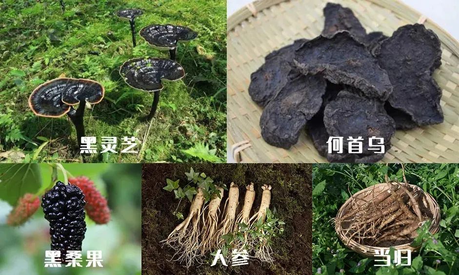 孩子有白头发是缺少什么微量元素(少白头不缺微量元素)-硒宝网