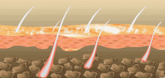 孩子有白头发是缺少什么微量元素(少白头不缺微量元素)-硒宝网