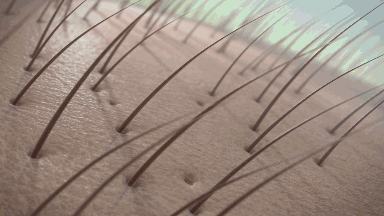 孩子有白头发是缺少什么微量元素(少白头不缺微量元素)-硒宝网