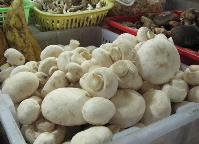 吃补硒的药能喝酵素吗(能喝酵素药补吃硒嘛)-硒宝网