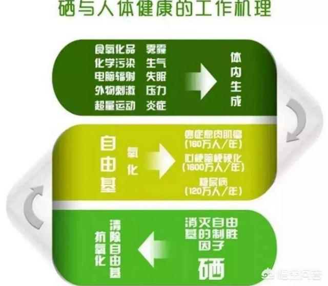 科学补硒是哪三个方面(科学补硒22问)-硒宝网