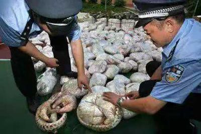 结核病患者需要补硒吗（结核病人需要补充维生素吗）-硒宝网