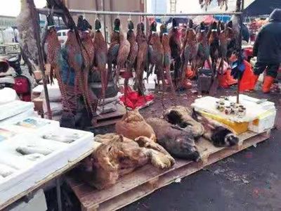 结核病患者需要补硒吗（结核病人需要补充维生素吗）-硒宝网