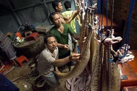 结核病患者需要补硒吗（结核病人需要补充维生素吗）-硒宝网