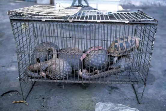 结核病患者需要补硒吗（结核病人需要补充维生素吗）-硒宝网