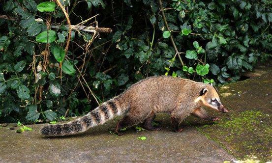 结核病患者需要补硒吗（结核病人需要补充维生素吗）-硒宝网