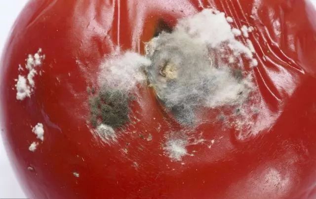 补硒用查肝功能吗男性(男性补硒过量的危害)-硒宝网