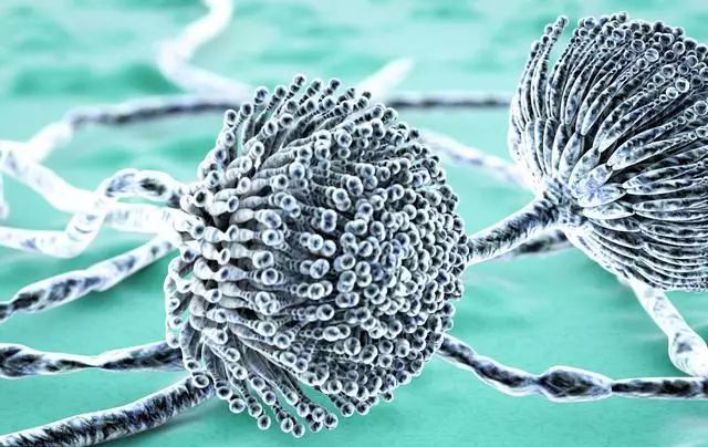 补硒用查肝功能吗男性(男性补硒过量的危害)-硒宝网