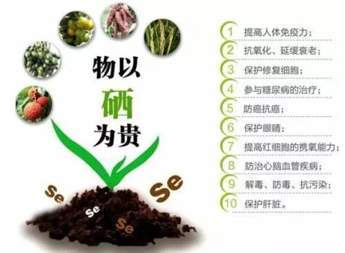 补硒用查肝功能吗男性(男性补硒过量的危害)-硒宝网