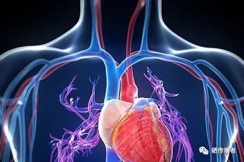 老年人要不要长期补硒(老年人补硒的好处)-硒宝网