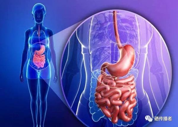 老年人要不要长期补硒(老年人补硒的好处)-硒宝网
