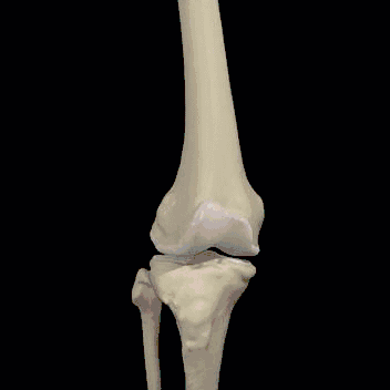 男人补硒多少钱一次呢（男人补硒的食物）-硒宝网