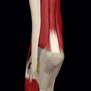 男人补硒多少钱一次呢（男人补硒的食物）-硒宝网