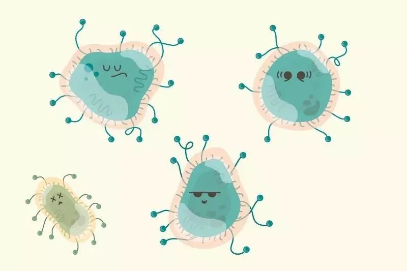 儿童补锌一天最佳时间（小孩子补锌一天什么时候吃最好）-硒宝网