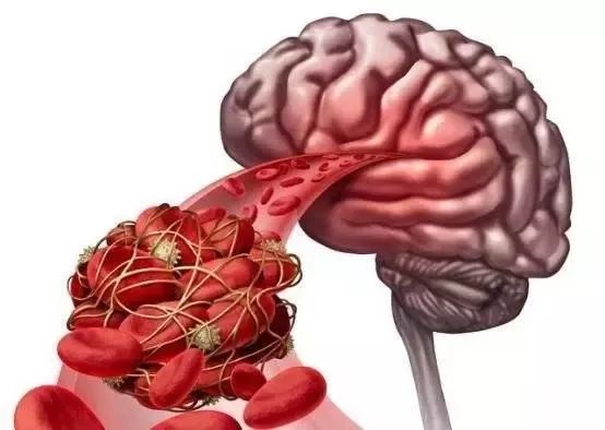 补硒四种方法中最好的(补硒的方式)-硒宝网