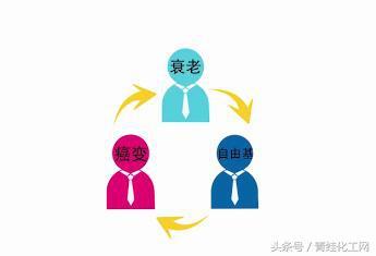 中老年人补硒有好处吗（补硒可以提高老年人的健康水平）-硒宝网