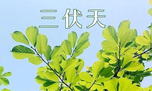 冬病夏治要不要补硒呢（冬补夏养）-硒宝网